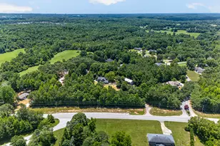 1070 Cannon Bridge Rd, Demorest, GA 30535 - Photo 86