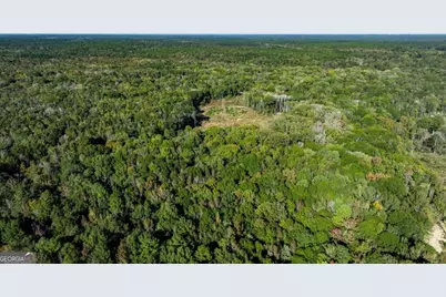 2 Old Savannah Road #TRACT 2, Millen, GA 30442 - Photo 14