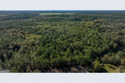 2 Scarboro Landing Road, Millen, GA 30442 - Photo 12