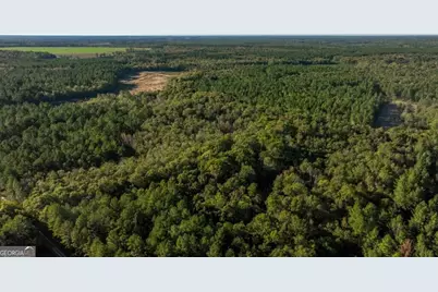 2 Old Savannah Road #TRACT 2, Millen, GA 30442 - Photo 22