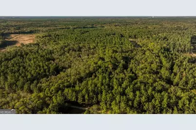 2 Scarboro Landing Road, Millen, GA 30442 - Photo 20