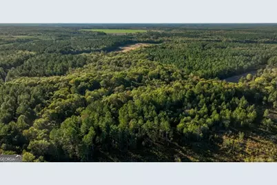 2 Old Savannah Road #TRACT 2, Millen, GA 30442 - Photo 26