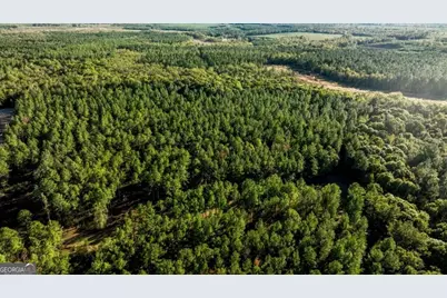 2 Old Savannah Road #TRACT 2, Millen, GA 30442 - Photo 18