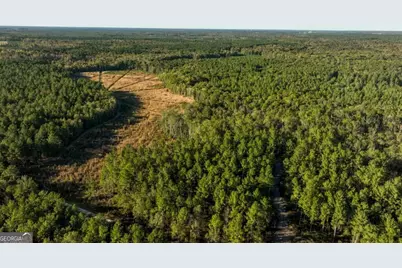 2 Old Savannah Road #TRACT 2, Millen, GA 30442 - Photo 20