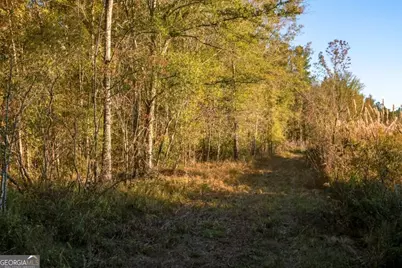 3 Old Savannah Road #TRACT 3, Millen, GA 30442 - Photo 10