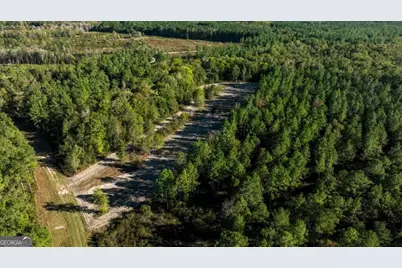 3 Scarboro Landing Road #TRACT 3, Millen, GA 30442 - Photo 14