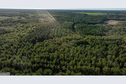 3 Scarboro Landing Road #TRACT 3, Millen, GA 30442 - Photo 24