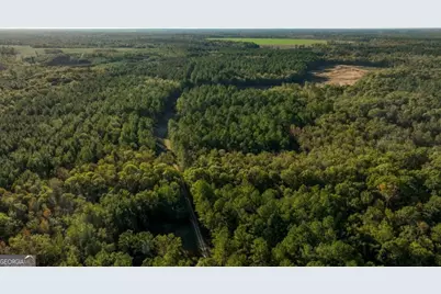 3 Scarboro Landing Road #TRACT 3, Millen, GA 30442 - Photo 26