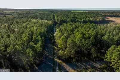 3 Scarboro Landing Road #TRACT 3, Millen, GA 30442 - Photo 18