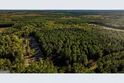 3 Scarboro Landing Road #TRACT 3, Millen, GA 30442 - Photo 16