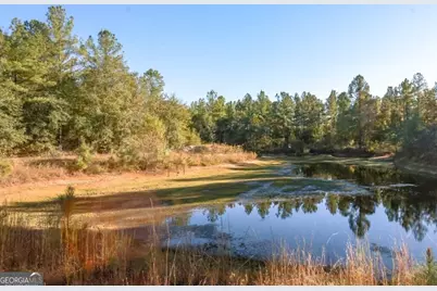 3 Old Savannah Road #TRACT 3, Millen, GA 30442 - Photo 4