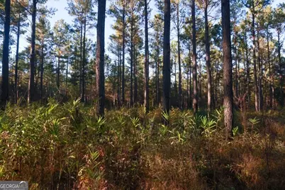3 Scarboro Landing Road #TRACT 3, Millen, GA 30442 - Photo 4