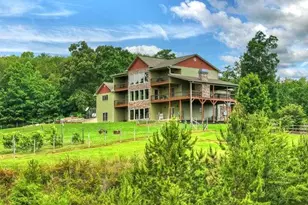 384 Dean Rd, Mineral Bluff, GA 30559 - Photo 10