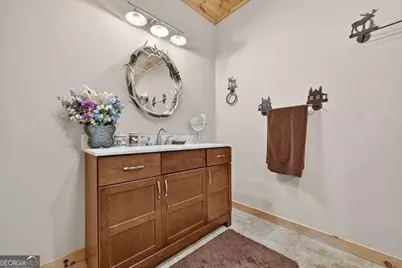 384 Dean Road, Mineral Bluff, GA 30559 - Photo 52