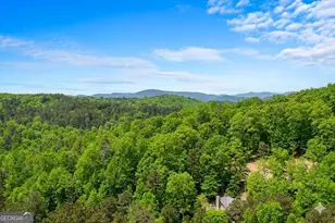 406 Hope Dr, Blue Ridge, GA 30513 - Photo 2