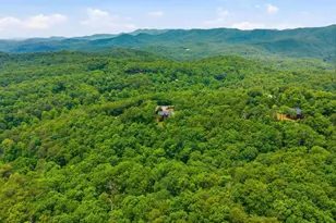 254 Leatherwood Mountain Road, Ellijay, GA 30540 - Photo 94
