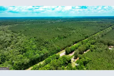 0 Highway 204 & Carlos Cowart Road, Pembroke, GA 31321 - Photo 14