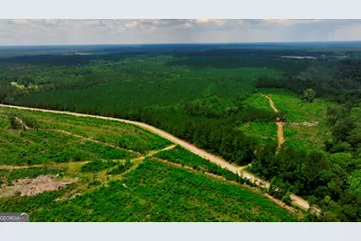 0 Highway 204 & Carlos Cowart Road, Pembroke, GA 31321 - Photo 8