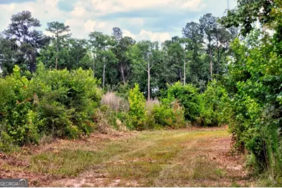 0 Highway 204 & Carlos Cowart Road, Pembroke, GA 31321 - Photo 42