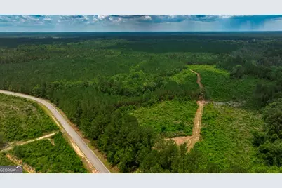 0 Highway 204 & Carlos Cowart Road, Pembroke, GA 31321 - Photo 18