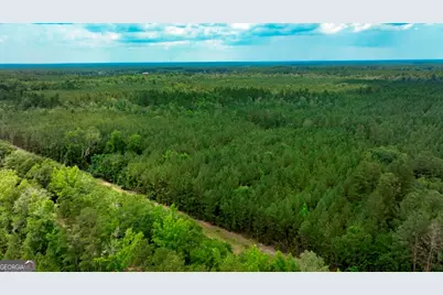 0 Highway 204 & Carlos Cowart Road, Pembroke, GA 31321 - Photo 12
