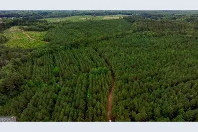 0 Highway 204 & Carlos Cowart Road, Pembroke, GA 31321 - Photo 20