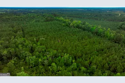 0 Highway 204 & Carlos Cowart Road, Pembroke, GA 31321 - Photo 16