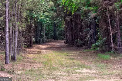 0 Highway 204 & Carlos Cowart Road, Pembroke, GA 31321 - Photo 46