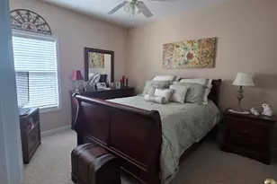 250 Rock Mill Trail, Senoia, GA 30276 - Photo 34