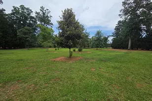 250 Rock Mill Trail, Senoia, GA 30276 - Photo 50