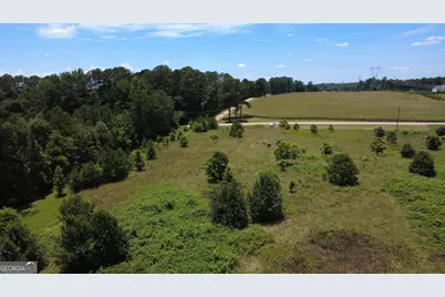 676 Linch Road, Senoia, GA 30276 - Photo 26