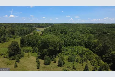 676 Linch Road, Senoia, GA 30276 - Photo 28