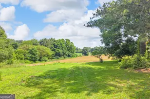 89 New House Rd, Canon, GA 30520 - Photo 8