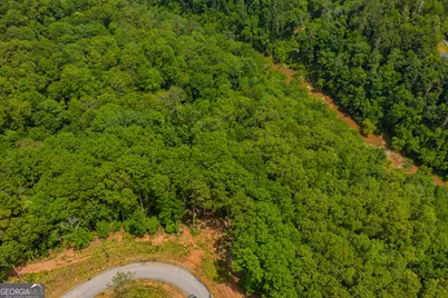 Lot 295A Pebble Trace, Talking Rock, GA 30175 - Photo 16