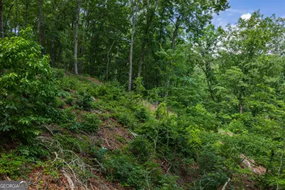 Lot 295A Pebble Trace, Talking Rock, GA 30175 - Photo 10