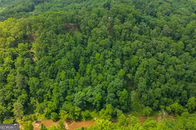 Lot 295A Pebble Trace, Talking Rock, GA 30175 - Photo 12