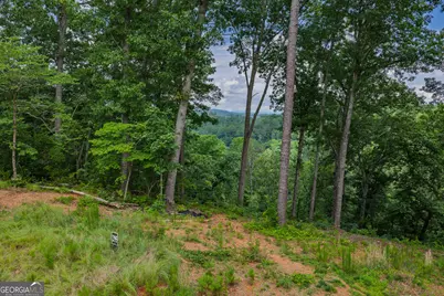 Lot 295A Pebble Trace, Talking Rock, GA 30175 - Photo 6