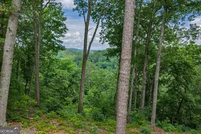 Lot 295A Pebble Trace, Talking Rock, GA 30175 - Photo 2