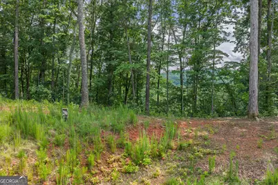 Lot 296 Pebble Trace, Talking Rock, GA 30175 - Photo 4