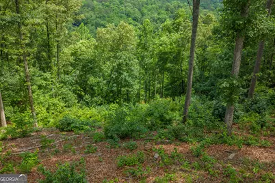 Lot 296 Pebble Trace, Talking Rock, GA 30175 - Photo 10