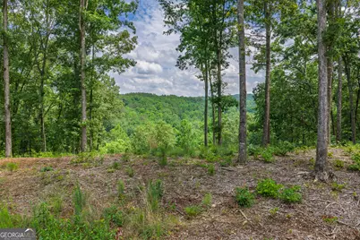 Lot 296 Pebble Trace, Talking Rock, GA 30175 - Photo 6