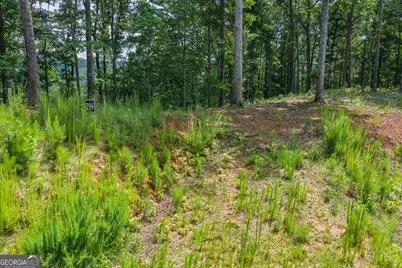 Lot 296 Pebble Trace, Talking Rock, GA 30175 - Photo 2