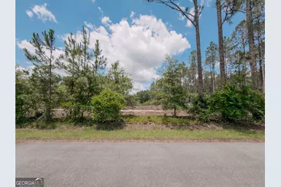 0 Issac Road, Claxton, GA 30417 - Photo 4