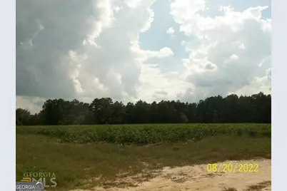 650 Howard Farm Road, Vienna, GA 31092 - Photo 12