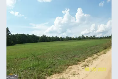 650 Howard Farm Road, Vienna, GA 31092 - Photo 6