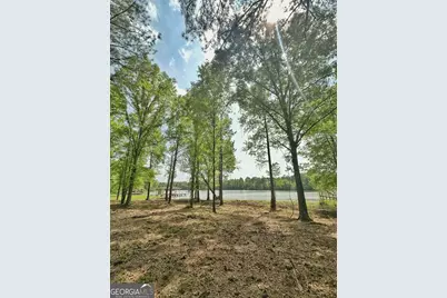 5234 Lake Crest Drive, Sparta, GA 31087 - Photo 4