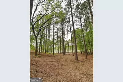 5234 Lake Crest Drive, Sparta, GA 31087 - Photo 6