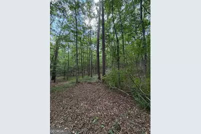 0 Serenity, Cataula, GA 31808 - Photo 10