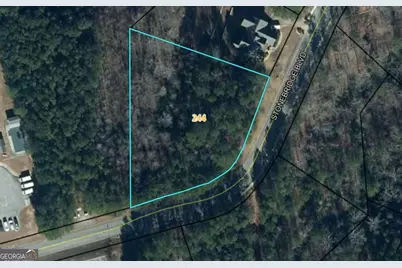 201 Stonebridge Boulevard, Bremen, GA 30110 - Photo 1