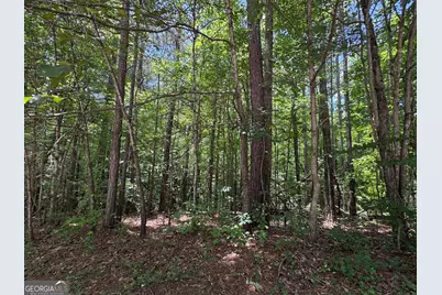 201 Stonebridge Boulevard, Bremen, GA 30110 - Photo 2